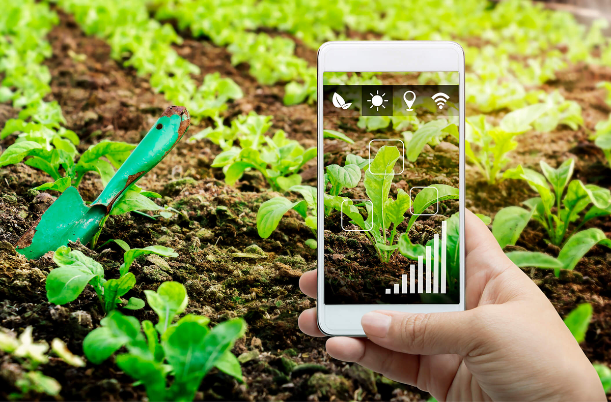 Content Marketing Nông Nghiệp