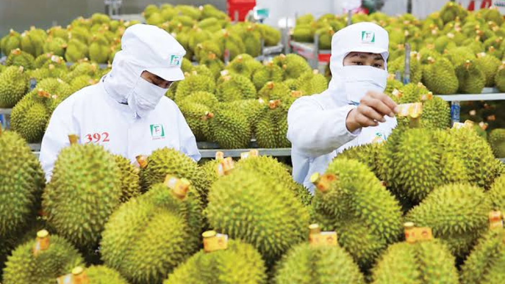 Ấn Độ là thị trường nhập khẩu nông sản Việt với những quy định thuế quan khá khắt khe