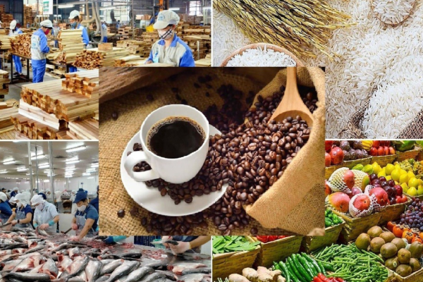 Kênh Tiếp Thị Nông Sản Hiệu Quả