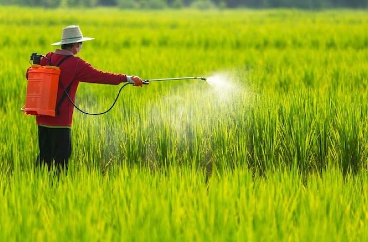 Máy phun thuốc trừ sâu (hay còn gọi là bình xịt thuốc sâu) là một thiết bị nông nghiệp chuyên dụng