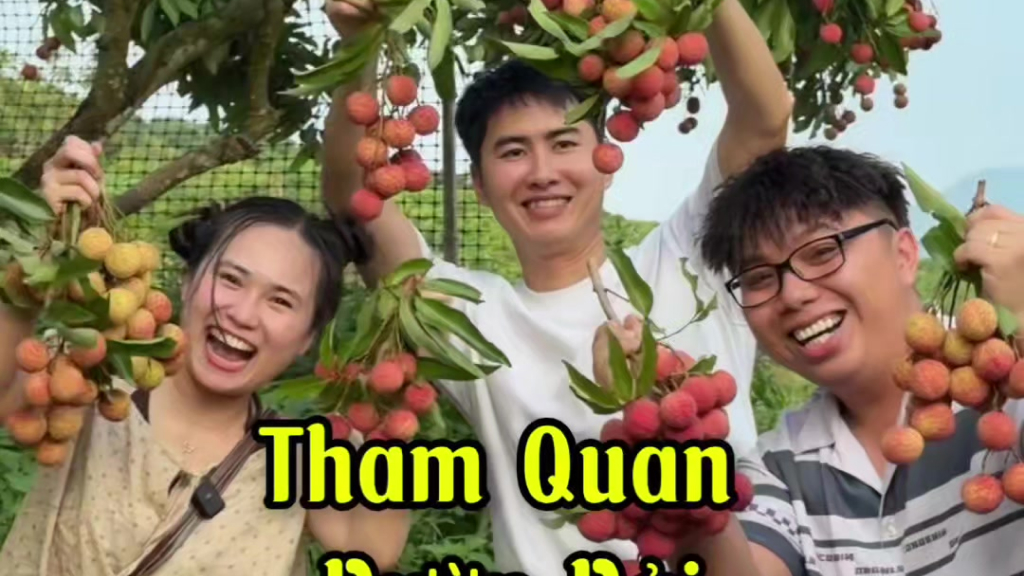 Dạng video "Nhật ký nhà nông" (Daily Vlog)