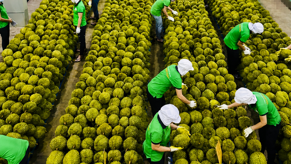 Quy mô thị trường 1.4 tỷ dân với tầng lớp trung lưu bùng nổ