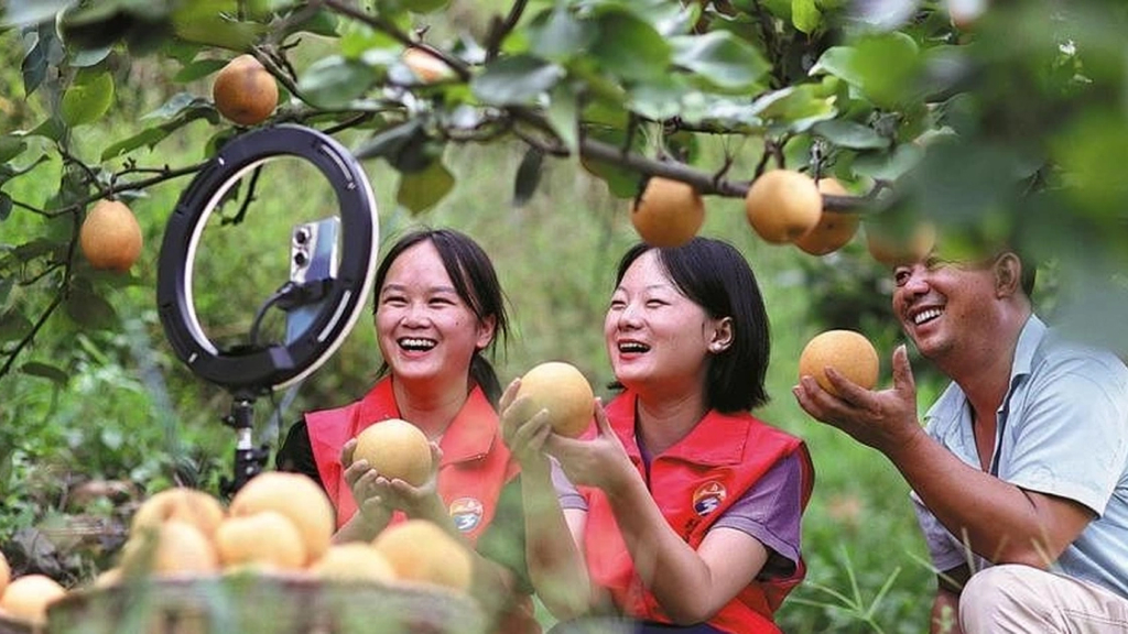 Tạo các video bán nông sản trên các nền tảng video ngắn (TikTok, Facebook Reels, YouTube Shorts)