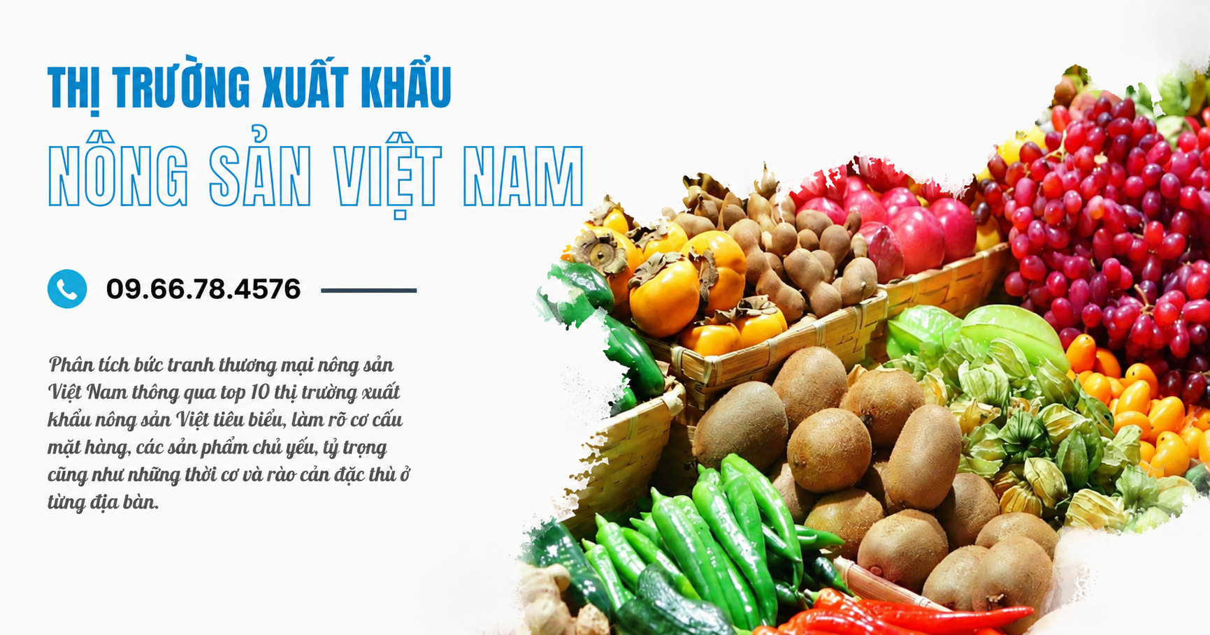 Thị trường xuất khẩu nông sản Việt