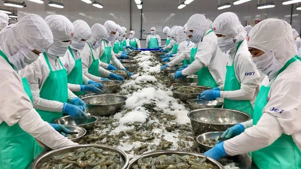 Thủy sản – Sự phục hồi ngoạn mục của ngành hàng mũi nhọn