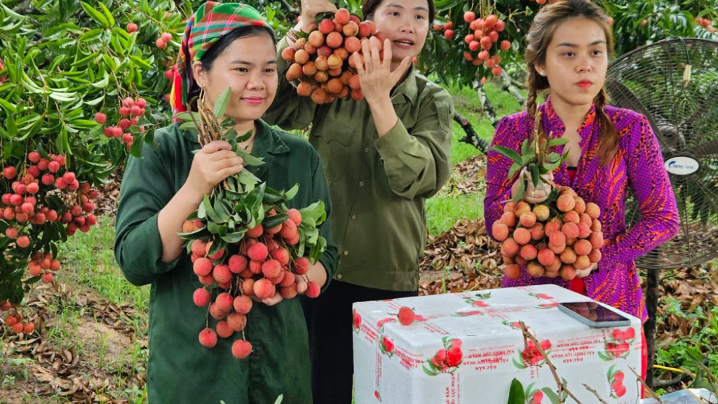 Mạng xã hội đang trở thành cầu nối đưa đặc sản quê hương đến với khách hàng khắp mọi miền.