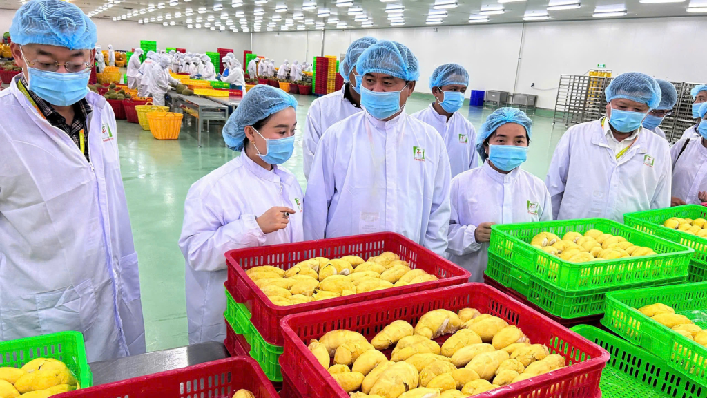 UAE đóng vai trò trung tâm logistics giúp đưa các sản phẩm thuộc thị trường xuất khẩu nông sản Việt thâm nhập sâu vào khối GCC và Bắc Phi