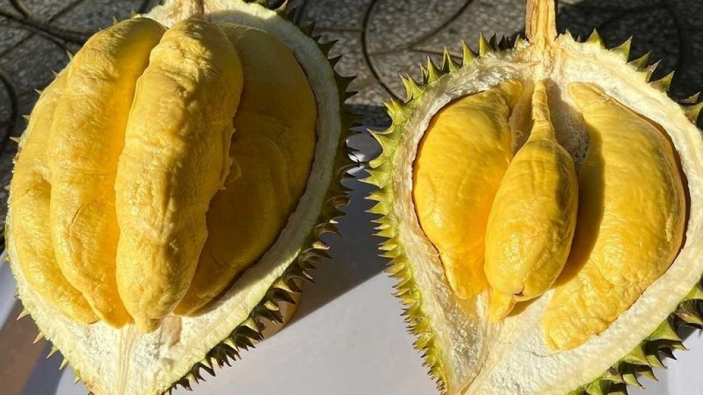 tầm quan trọng của việc đa dạng hóa thị trường nông sản