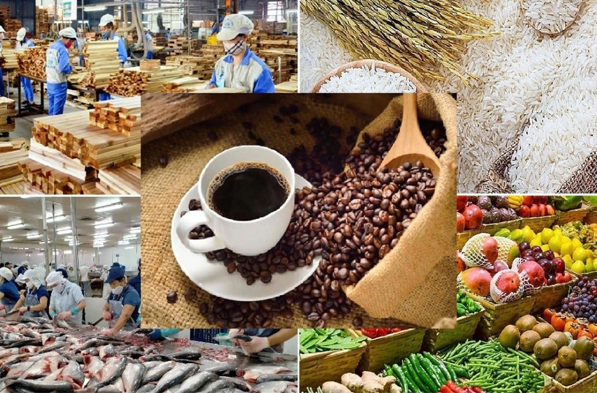 Xuất khẩu nông sản vẫn vươn lên mạnh mẽ, ghi dấu ấn là một trong những điểm sáng nổi bật của nền kinh tế.
